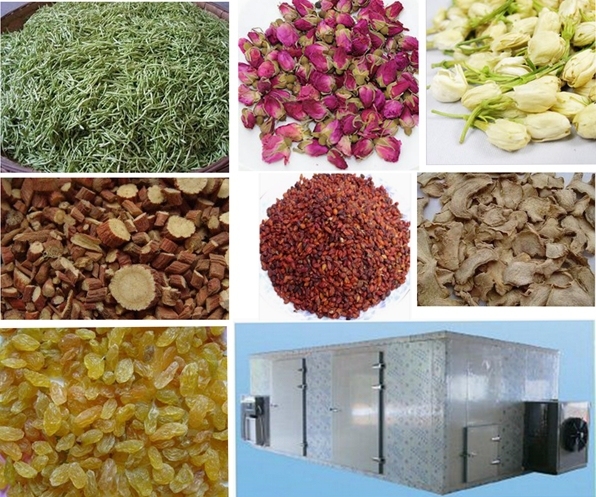 Tea Leaves Dryer, Flower Tea Processing Drying Machine