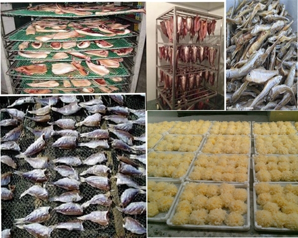 Seafood Processing Oven/ Shrimp/ Seaweed/ Kelp Drying Machine for Sale