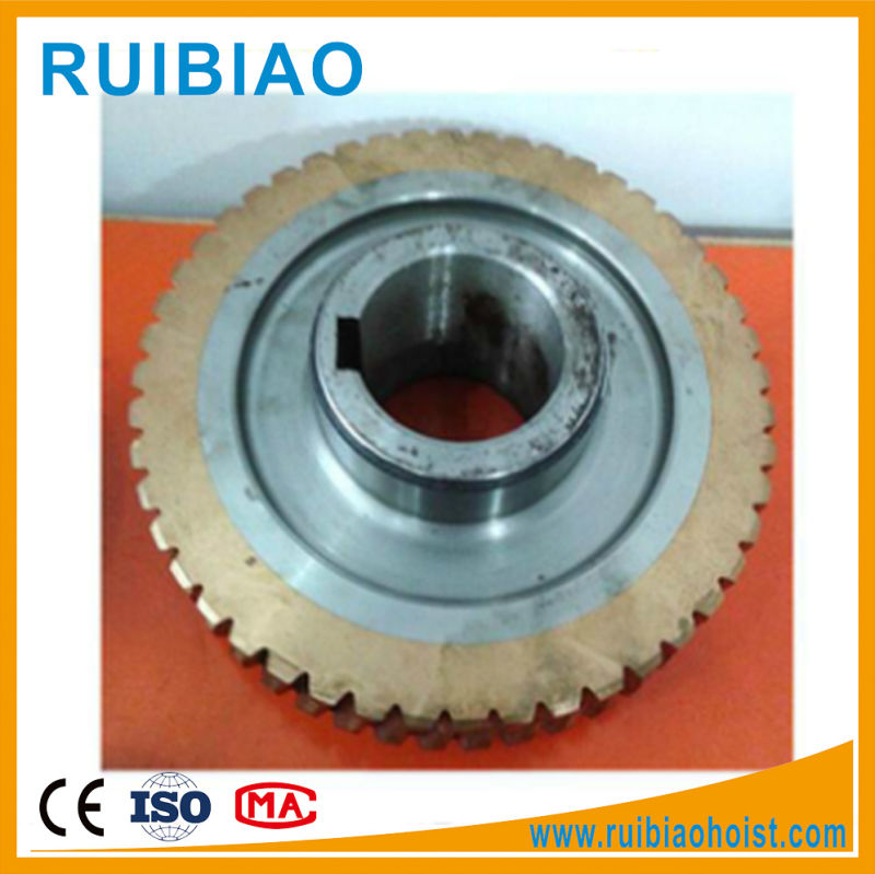 Construction Hoist Worm and Worm Wheel, China Customized Worm Gear Manufacturing