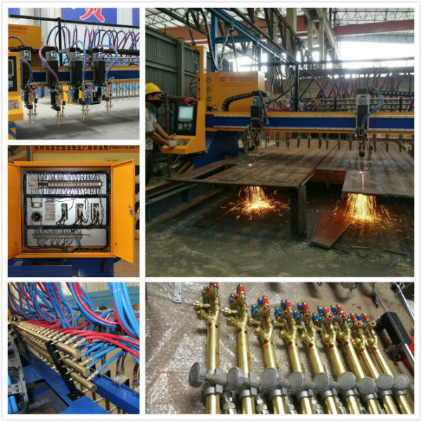 Premium Gantry Steel Plate/Flate Bar CNC Plasma Cutting Machine