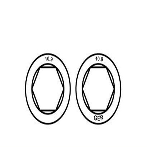 Grade 10.9 Hexagon Socket Head Cap Bolt (DIN 912)