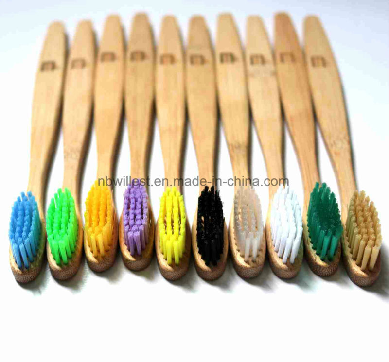 Babies, Kids, Adult Age Group and Soft, Medium, Hard Bristle Type Toothbrush