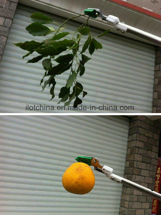 180cm Pole Prune Tree Pruning Long Reach Pruner