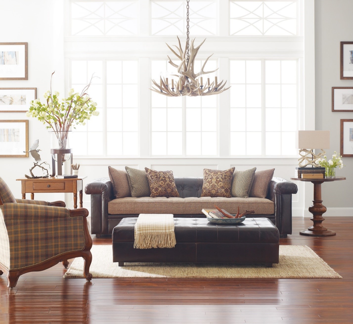 stickley-living-room-plant